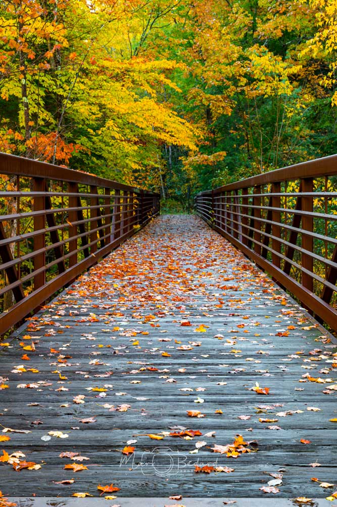 foot_bridge_over_newfound_river_alt Newfound River Pedestrian Footbridge in the Fall photo