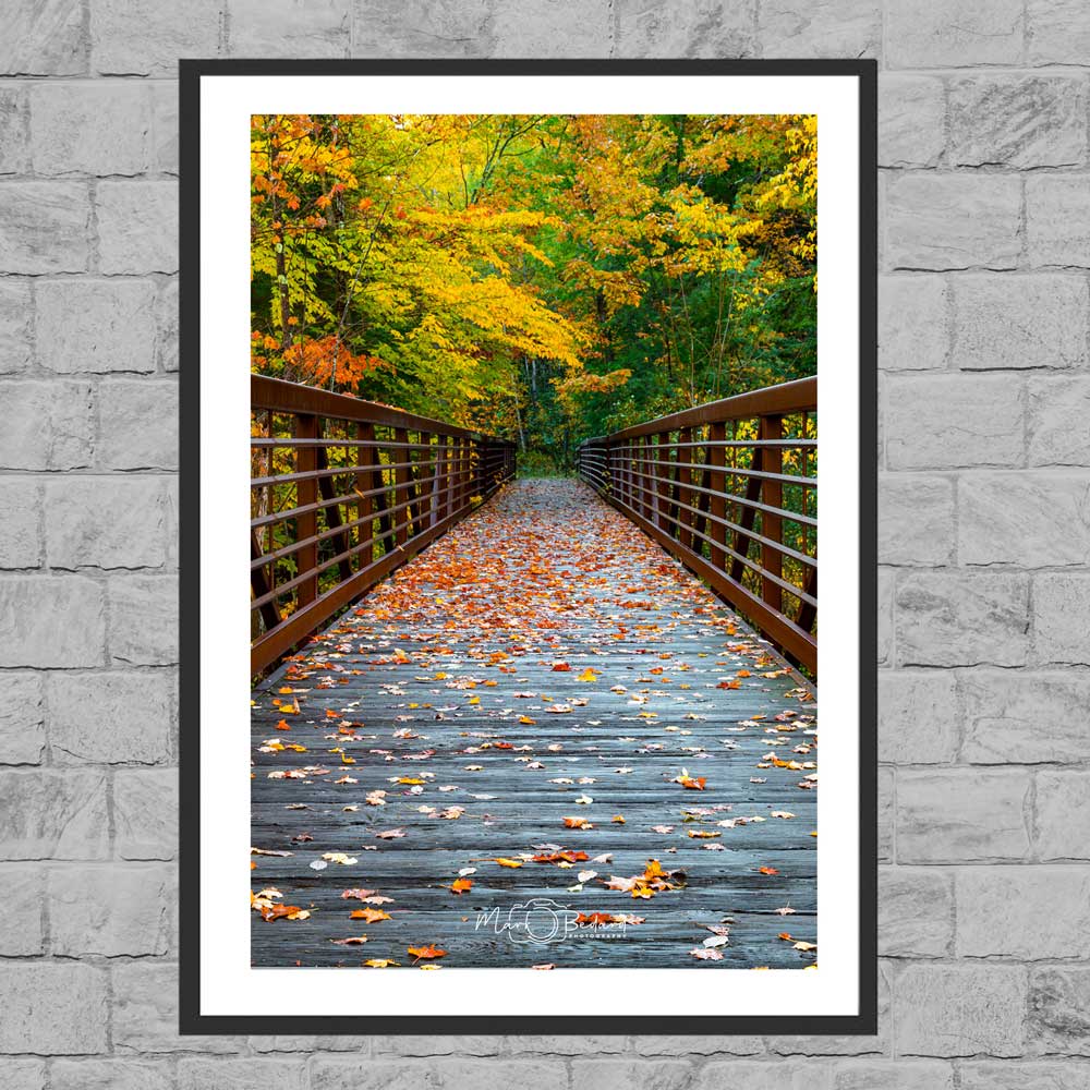 foot_bridge_over_newfound_river_main Newfound River Pedestrian Footbridge in the Fall photo in a frame